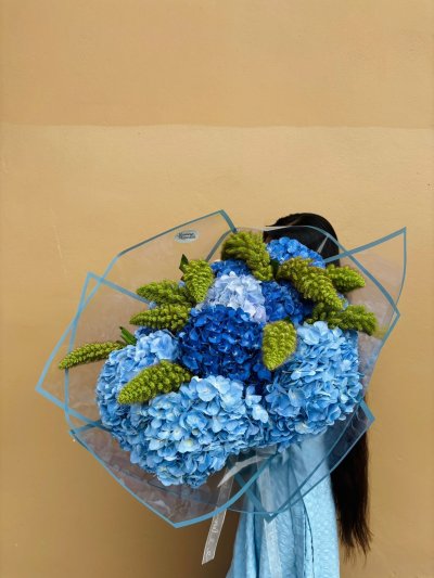 Bouquet of blue hydrangeas with green amaranthus wrapped in clear blue-trimmed paper.