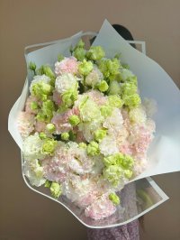 A large bouquet of pastel carnations in ice cream tones of pink, white, and green, wrapped in sheer white paper.