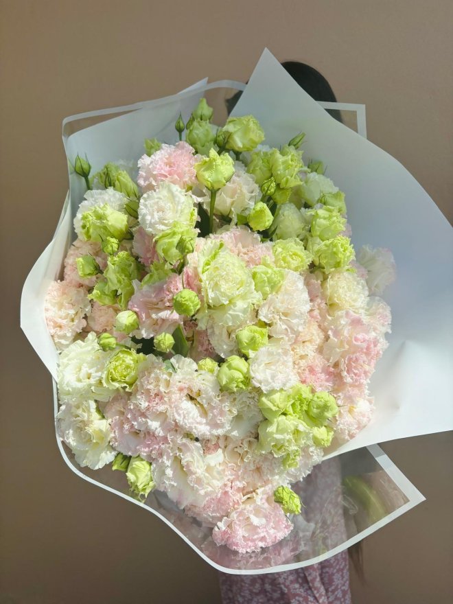 A large bouquet of pastel carnations in ice cream tones of pink, white, and green, wrapped in sheer white paper.