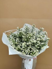 A large bouquet of delicate white aster flowers wrapped in white paper.