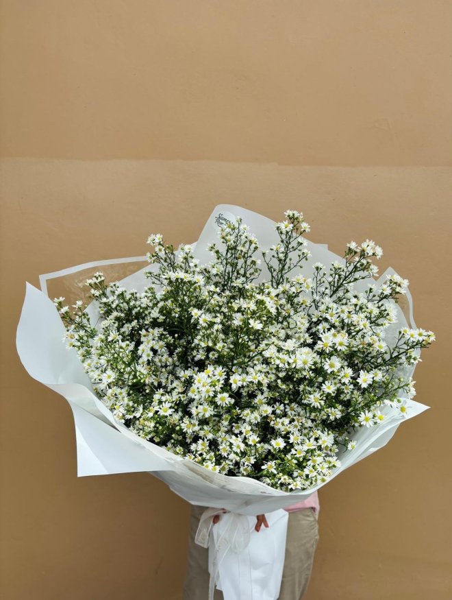 A large bouquet of delicate white aster flowers wrapped in white paper.