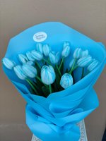 Bouquet of fourteen blue tulips with white striations wrapped in bright blue paper, held against a neutral background
