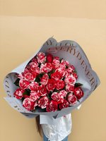 Bouquet of red and white variegated roses wrapped in soft grey paper.