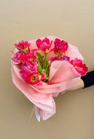 Hand holding Pink Passion bouquet of seven vibrant magenta and pink tulips wrapped in soft pink tissue paper against neutral background